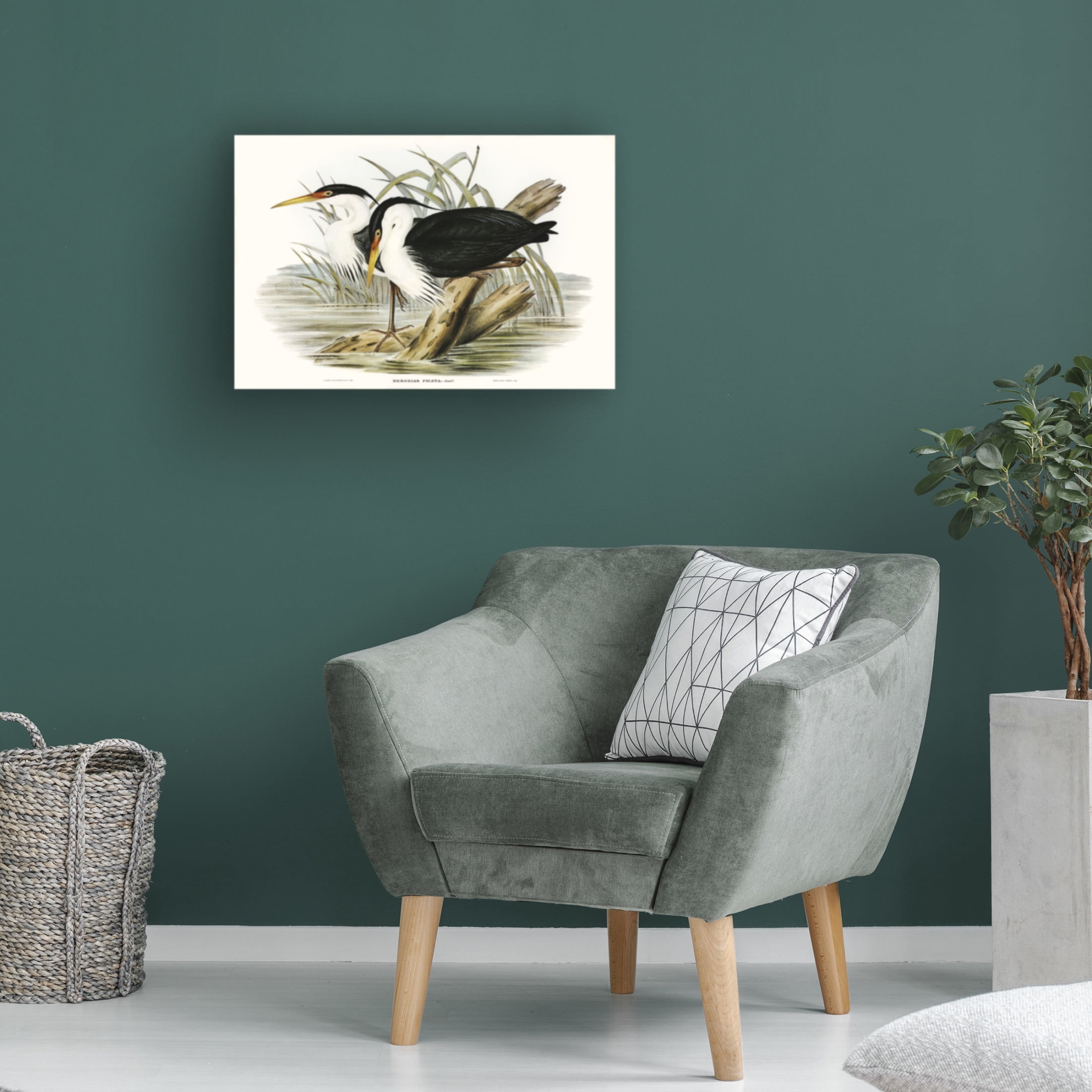 Trademark Fine Art Elizabeth Gould Waterbird Pairing II Canvas Wall Art