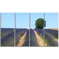 thumbnail image 2 of Belles Rangées de Lavande en France - Art Mural sur Toile Paysage, 2 of 3
