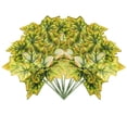 thumbnail image 1 of Paquete 5 Plantas Artificiales Tropicales Falsas Codiaeum verde 1 Sky Green AT17197, 1 of 7