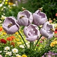 thumbnail image 6 of Tulip Shape Bird Bath Decorative Outdoor Garden Pollinator Water Station, Floral Bird Drinking Basin for Backyard Patio Balcony, 6 of 6