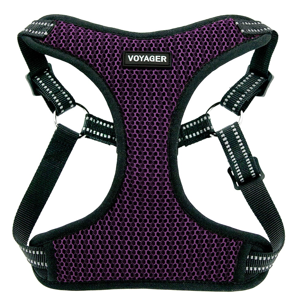 Red Rose Base, Medium Best Pet Supplies Voyager Step-in Plush Dog Harness with Padded Vest,