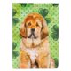 thumbnail image 1 of Bandera de lona decorativa Caroline's Treasures Mastín tibetano St Patrick's tamaño casa multicolor BB9895CHF, 1 of 1