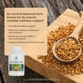 thumbnail image 3 of Nature's Lab Fenugreek - Traditional Lactation Support* - 120 Capsules, 3 of 8