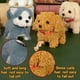 thumbnail image 5 of Juguete Electrónico de Peluche Que Camina y Ladra, Interactivo para Cachorros y Niños Pequeños Bomei (), 5 of 7