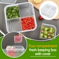 thumbnail image 4 of YIKA Tupperware Container Covered Four Green Ginger Slices Garlic Fresh-keeping Box Refrigerator Fruit And Vegetable Storage Kitchen With Lid Storage Box Kitchen Storage White, 4 of 8
