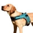 thumbnail image 1 of Arnés para perros Chaleco acolchado cómodo ajustable reflectante con luz LED para perro mediano CACAGOO Aprovechar, 1 of 7