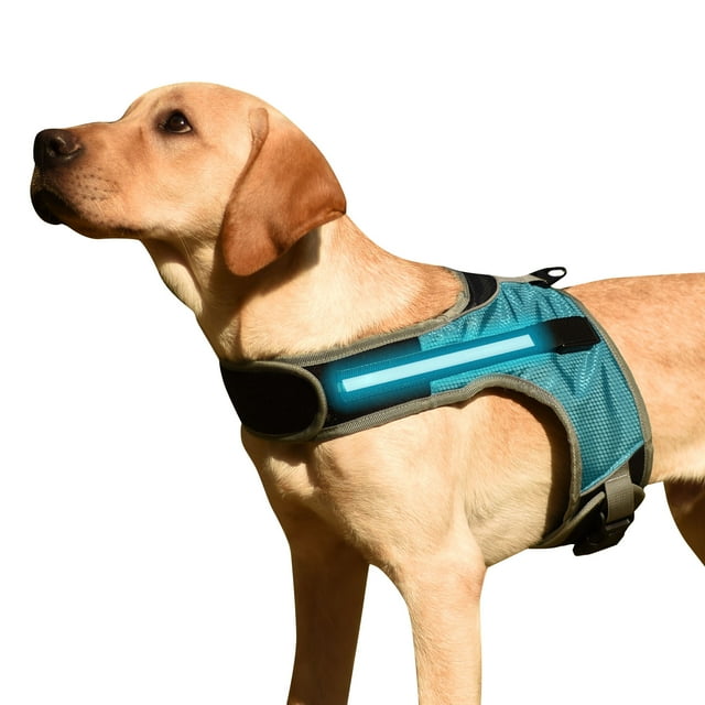 Arnés para perros Chaleco acolchado cómodo ajustable reflectante con luz LED para perro mediano CACAGOO Aprovechar