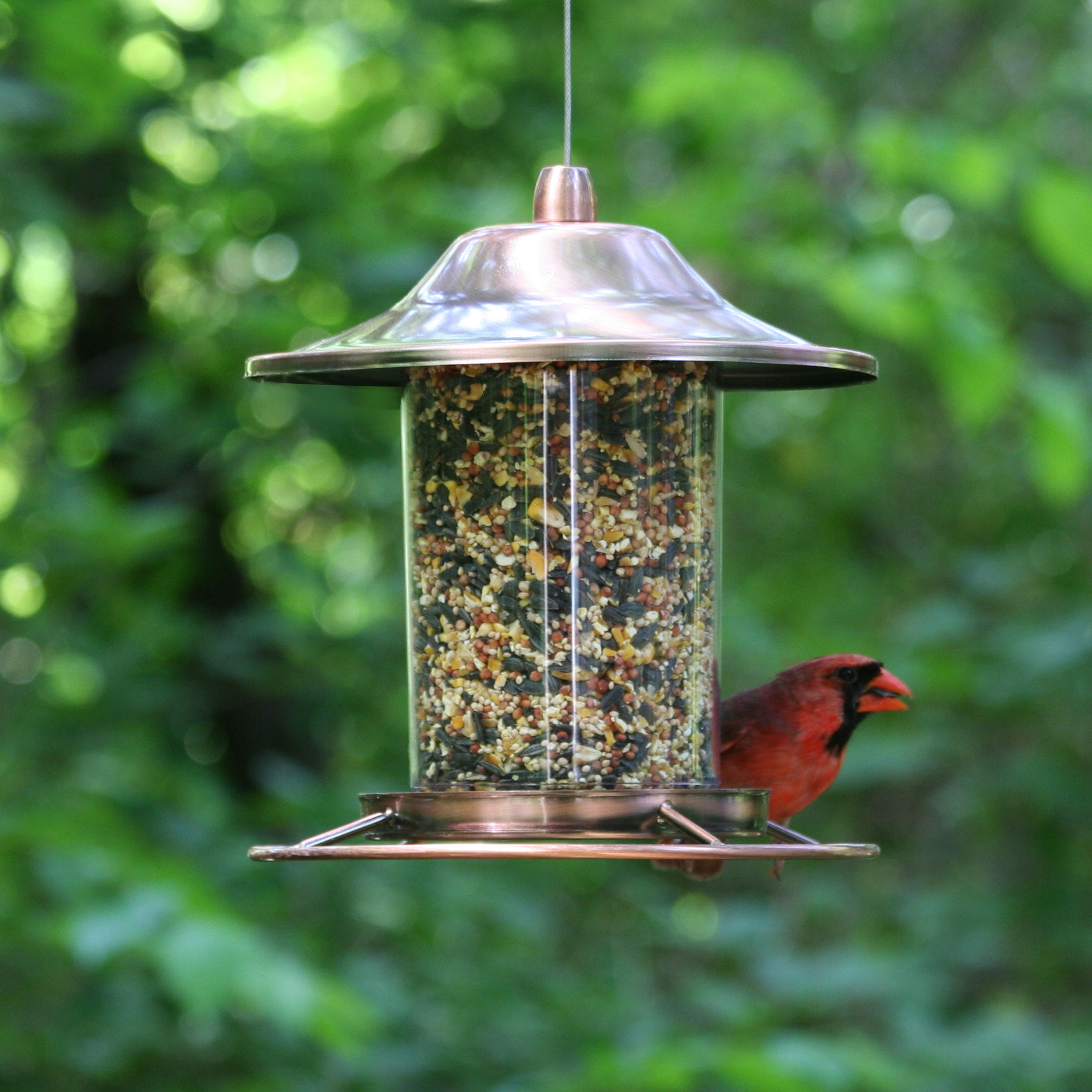 Feeders Perky Pet 325s Panorama Bird Feeder Pack Of 2 Birds