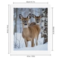 thumbnail image 2 of Paint By Numbers Kit for Adults Beginner - DIY Deer In Winter Snowforest Scene Canvas Painting Kits for Adults, Frameless Paint By Number for Adults for Home Wall Decor 16x20 Inch, 2 of 7