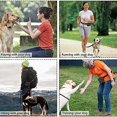 thumbnail image 4 of Bolsa de silicona para golosinas para perros con clip - Contenedor portátil de comida para perros para entrenamiento - Cierre magnético - Gris, 4 of 5