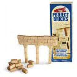  FloraCraft Foam 285 Piece Project Bricks 0.6 Inch x 0.6 Inch x  1.4 Inch Tan : Arts, Crafts & Sewing