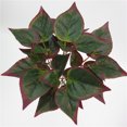 thumbnail image 2 of Advancent Ramo de hojas de plantas artificiales, simulación de hojas de eneldo verde, ramo de para el hogar y la Oficina, decoración de plantas Plantas Artificiales No.02 Advancent HA7138-02B, 2 of 6