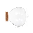 thumbnail image 2 of HEANUJJ 2Pcs Decorative Terrarium Glass Container Transparent for Home Decor and Gardening, 2 of 8