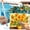 Gallery, variant on Quokka 10-Pack Water Painting Kit – Dementia Art & Craft Activities for Seniors - Farm Memories