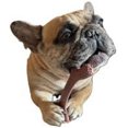 thumbnail image 6 of Augie Bones Mighty 2-Pack Nylon Free, Tough Chew Toys for Dogs, Plant Based, Sustainable,, 6 of 8