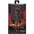 thumbnail image 3 of ALIENS: FIRETEAM ELITE - FIG - SERIES 1 PROWLER ALIEN NECA NECA Neca, 3 of 3
