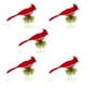 thumbnail image 1 of Pájaros Artificiales Naiovety 5 uds Clip en Plumas Decoración de Árbol de Navidad Color Rojo, 1 of 6