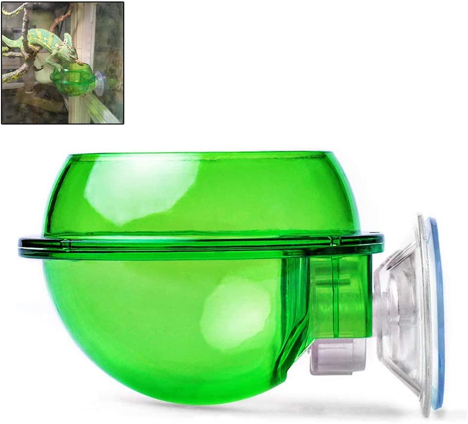 Suction Cup Reptile Feeder, Worm Live Fodder Container,Reptiles Feeder