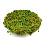 Touch of Nature Green Moss Nest 4-Inch