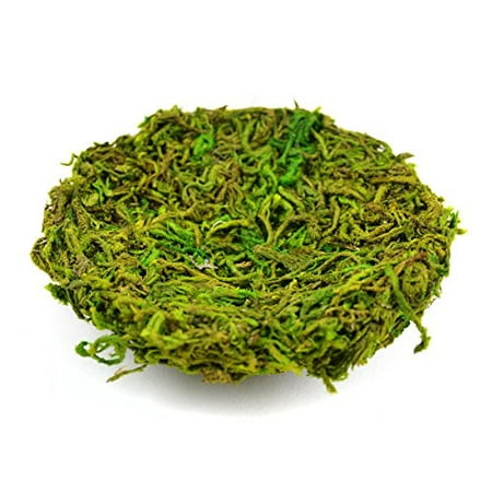 Touch of Nature Green Moss Nest 4-Inch
