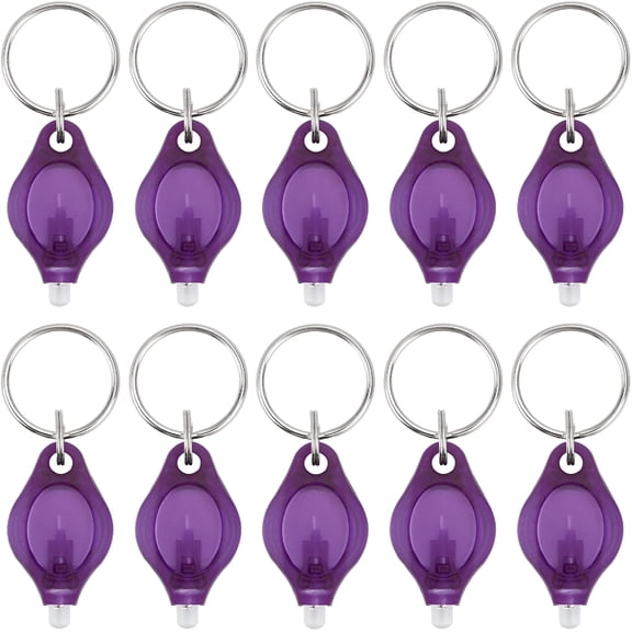 DESIGNICE 10 Pack UV Mini Keychain Flashlight, Ultraviolet