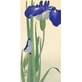 thumbnail image 2 of Koson, Ohara 14x24 Gold Ornate Wood Framed with Double Matting Museum Art Print Titled - Blue Irises, 2 of 4