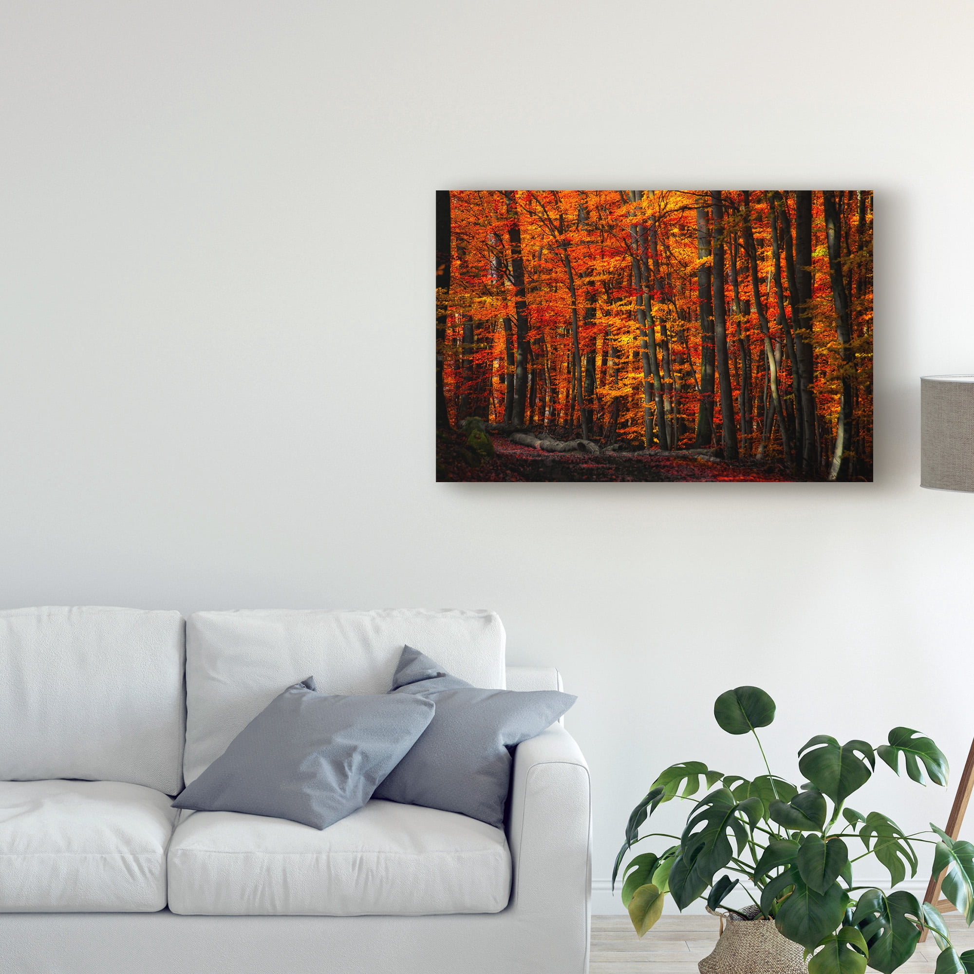 Trademark Fine Art 'Forest Density' Canvas Art by Philippe Sainte-Laudy