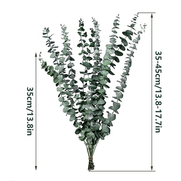 Popular Pick! Zjfmsh 10Pc Eucalyptus Branchesleaf Dried Flower Bouquet Natural Air Dried Branches Light Luxury Creative Decorative Ornaments Photo Props Green Pants