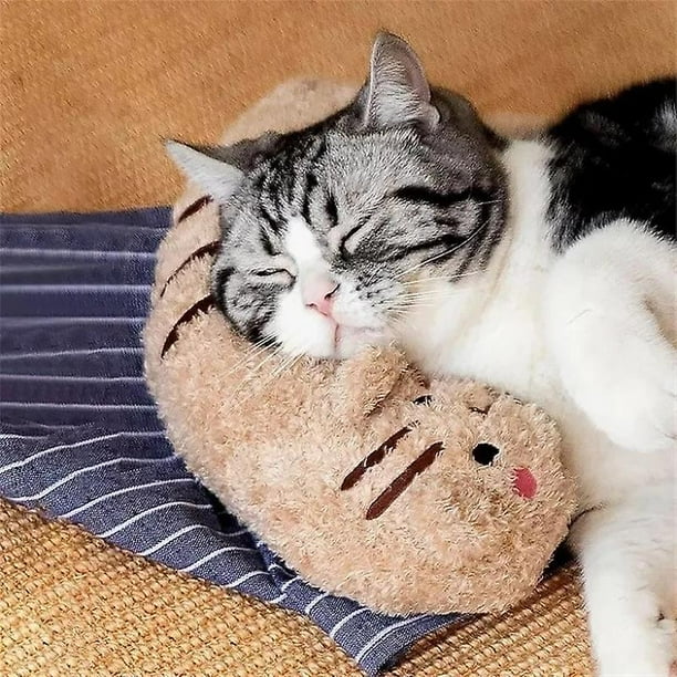 Cozy clearance cat pillow