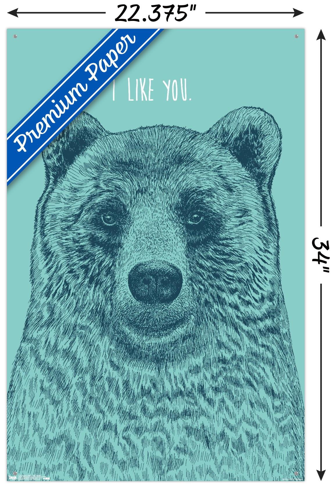 Rachel Caldwell - I Like You Bear Wall Poster with Push Pins, 22.375" x 34"
