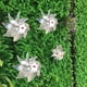 thumbnail image 2 of Molinillo de viento repelente Irfora 10 piezas repelente de aves molinillo reflectante brillante Pin ruedas protegen jardín planta flor pájaro Rpellent molino de viento decoración de jardín Irfora Molinillo de viento repelente, 2 of 6