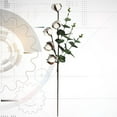 thumbnail image 4 of LABSERRON 1Pc Decorative Cotton Stem with Artificial Eucalyptus Leaf for Home and Wedding Celebration, 4 of 10