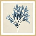thumbnail image 2 of Marmont Hill "Coastal Seaweed VIII" Framed Painting Print, 2 of 5