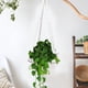 thumbnail image 5 of Woven Hanger Hanger Shelf Floating Shelf Indoor Planter Shelf Floating Shelf For Plants Flowerpot Stands Display Rack Nylon String Storage Fen, 5 of 6