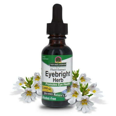 Nature’s Answer Eyebright Liquid Extract 2,000 mg, Eye Comfort & Wellness Support, Alcohol-Free Herbal Supplement, 1 fl oz