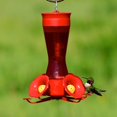 thumbnail image 2 of Perky-Pet Premium 2-Pack 403CP Pinch Waist Plastic Hummingbird Feeder, 8-Ounce, 2 of 3