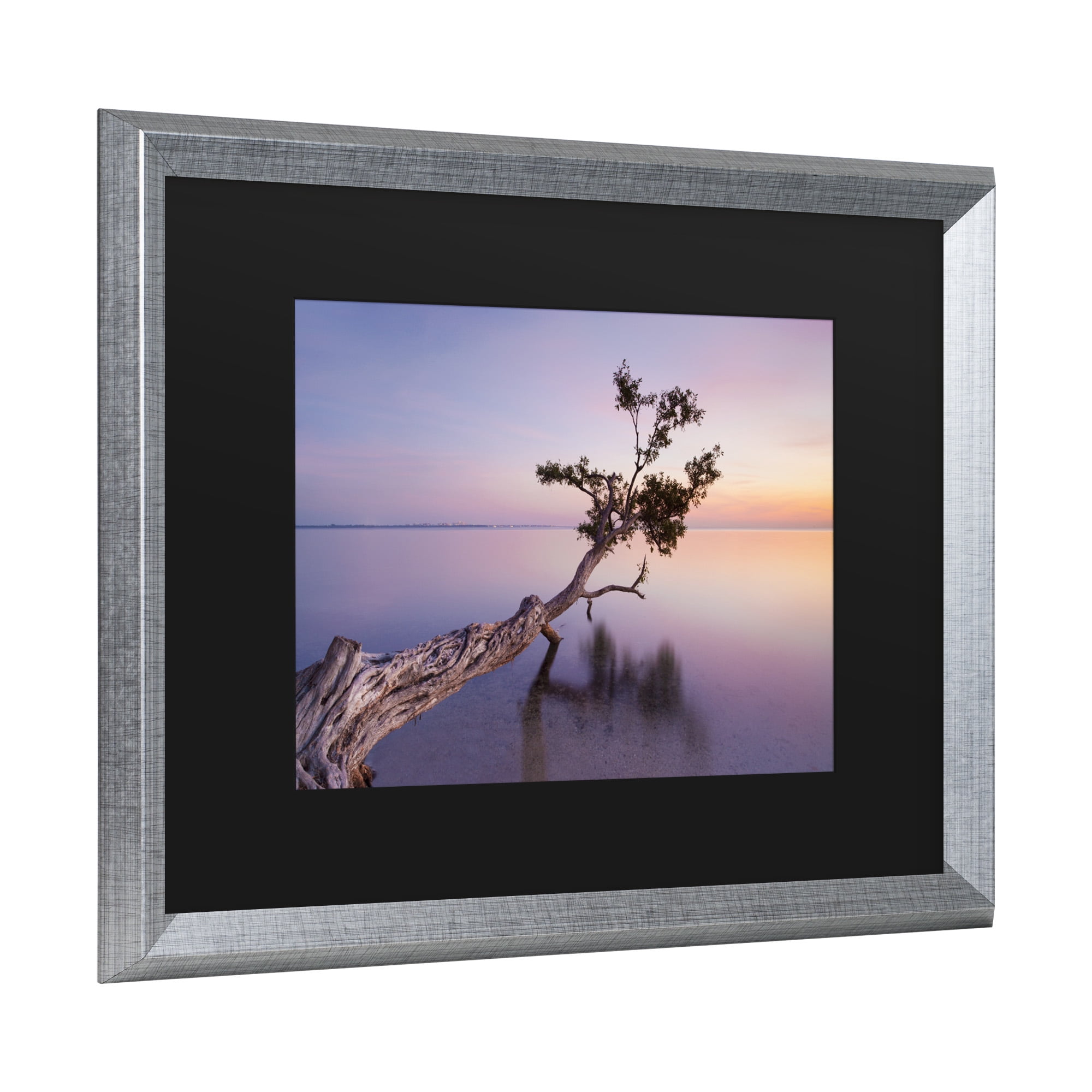 Moises Levy 'Water Tree Xv' Matted Framed Art