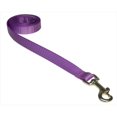thumbnail image 1 of 4 ft. Nylon Webbing Dog Leash, Purple - Extra Small, 1 of 1