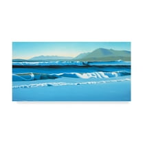Trademark Fine Art 'Pacific Surf' Canvas Art by Ron Parker