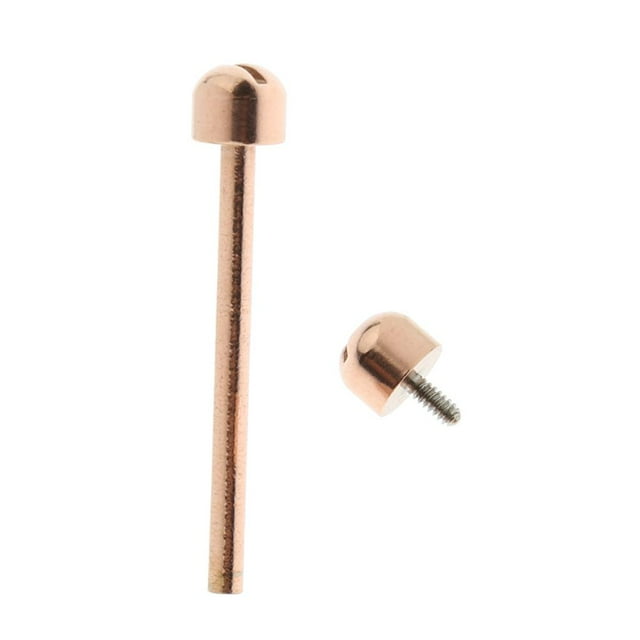 1 pieza de tubos de tornillo de reloj con conexión de tornillo dorado/hermoso diseño 18 mm/20 mm/22 mm 18mm
