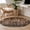 Brown, variant on Retro Brown Door Round Area Rug 3 FT, Small Kitchen Bathroom Mats, Country Vintage Wooden Door Washable Indoor Outdoor Throw Runner Carpet Non-Shedding Doormat for Table Shower Sofa Entryway