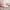 White+Pink, variant on Twin Bed Frame for Kids, Twin Upholstered Princess Bed with Rabbit-Shape Headboard, Twin Size Platform Bed, Cute Faux Leather Bed, No Box Spring Needed - Pink