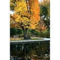 thumbnail image 3 of Putman, Tammy 13x18 Black Modern Framed Museum Art Print Titled - Fall in the Park, 3 of 5
