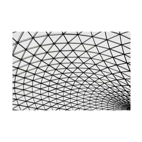 Trademark Fine Art Branko Markovic Web Canvas Wall Art