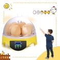 thumbnail image 5 of JOVELL 7 Egg Mini Egg Incubator for Home Classroom, Humidity & Temperature Control Egg Hatcher, Small Incubator for Hatching Eggs, 5 of 8