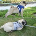 thumbnail image 5 of BadPiggies No Pull Dog Harnesses No Choke Reflective Pet Harness Adjustable Walking Breathable Mesh Dog Vest for Small Dogs Cats, 5 of 11