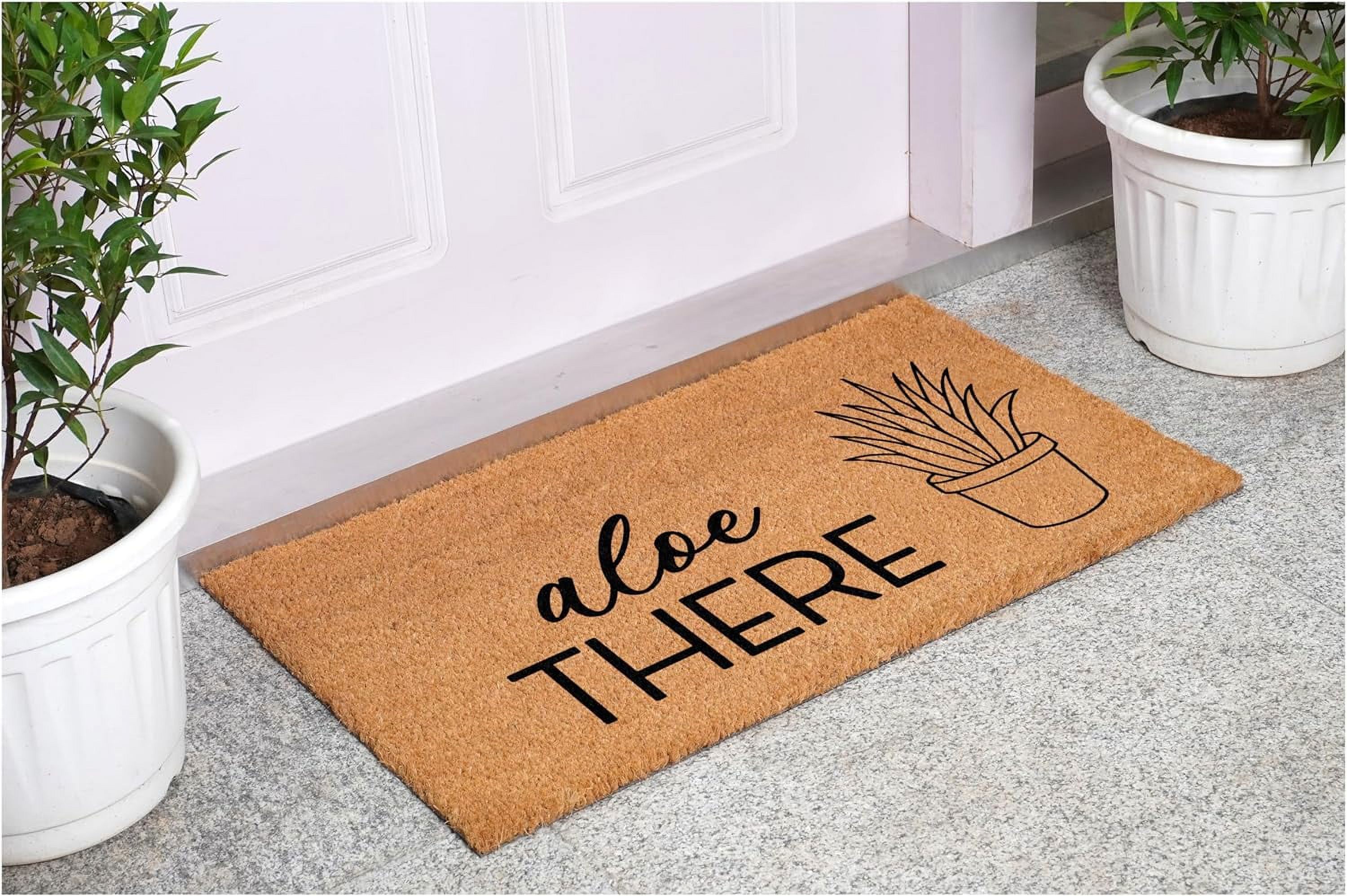Calloway Mills 113491729 Aloe There Doormat 17" x 29"