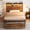 Rustic Brown(with 1 drawer), variant on Casacomoda Twin Size Bed Frame with Storage Headboard, Metal Platform Bed Frame with Storage Drawer, Bed Frame with Charging Station & LED Light, No Box Spring Needed, Vintage and Black