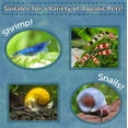 thumbnail image 3 of Snail & Shrimp 4mm-3/16" Sinking 40% Protein Nuggets for Snails, Shrimp, Axolotl, Salamanders, All Bottom Tropical Fish 4-lbs 12oz Jar, 3 of 5