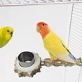thumbnail image 1 of BELOVING Bird Perch with Stainless Steel Birds Feeding Dish Cup for Small Birds Conures, 1 of 10